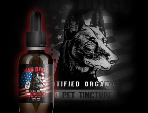 Rick Hogg Talks About War Dogg Pet Tincture
